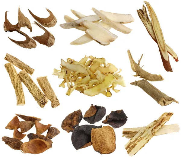 Assortment of Dried Chinese herbs — Stock Photo, Image