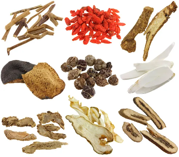 Assortment of Dried Chinese herbs — Stock Photo, Image