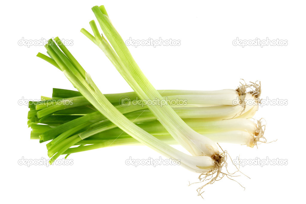 A bunch of fresh green Spring Onion