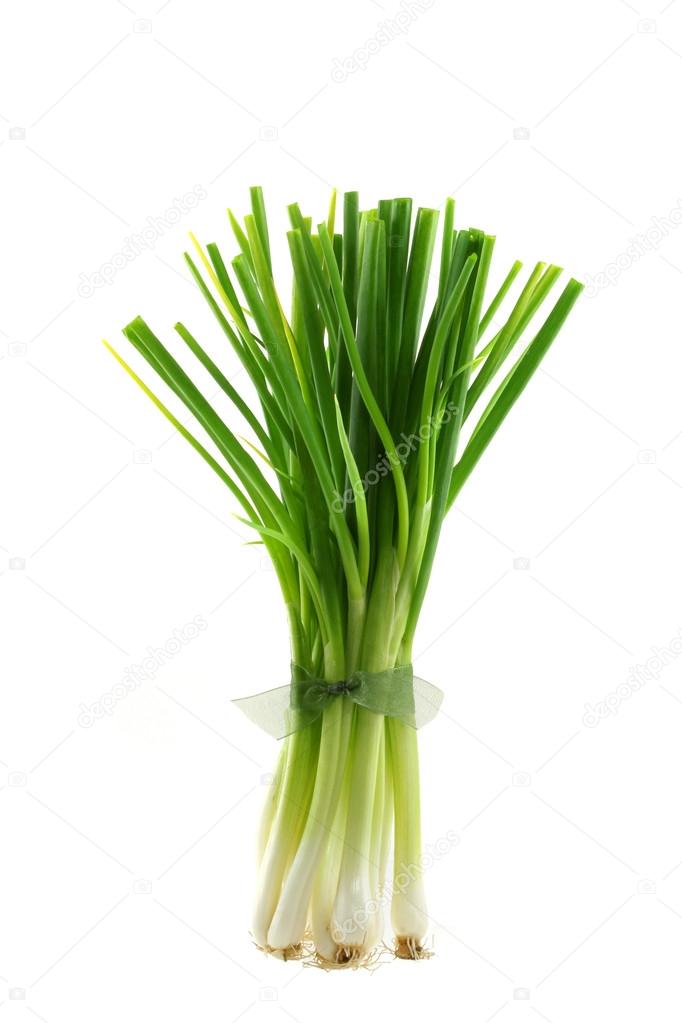 A bunch of fresh green Spring Onion standing