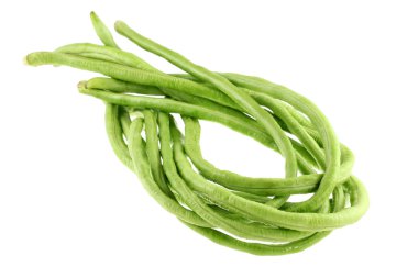 Cowpea (Chinese yardlong bean) clipart