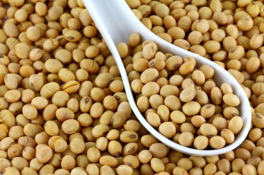 Kurutulmuş Soya fasulyesi (soya fasulyesi)