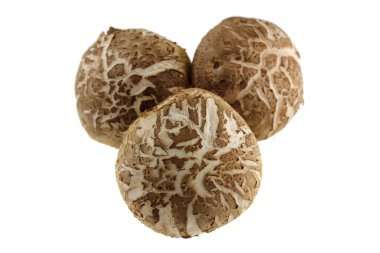 taze shiitake mantar