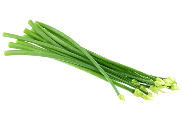 Ett gäng färska gröna allium vårlök blommor — Stockfoto