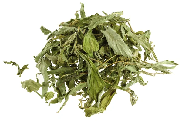 Folhas secas de Stevia (folha doce, folha de açúcar ) — Fotografia de Stock