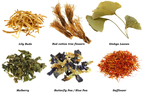 Surtido de té de hierbas secas (de hojas, flores ) —  Fotos de Stock