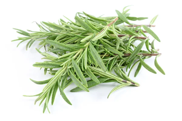 Fresh Rosemary — Stock Photo, Image