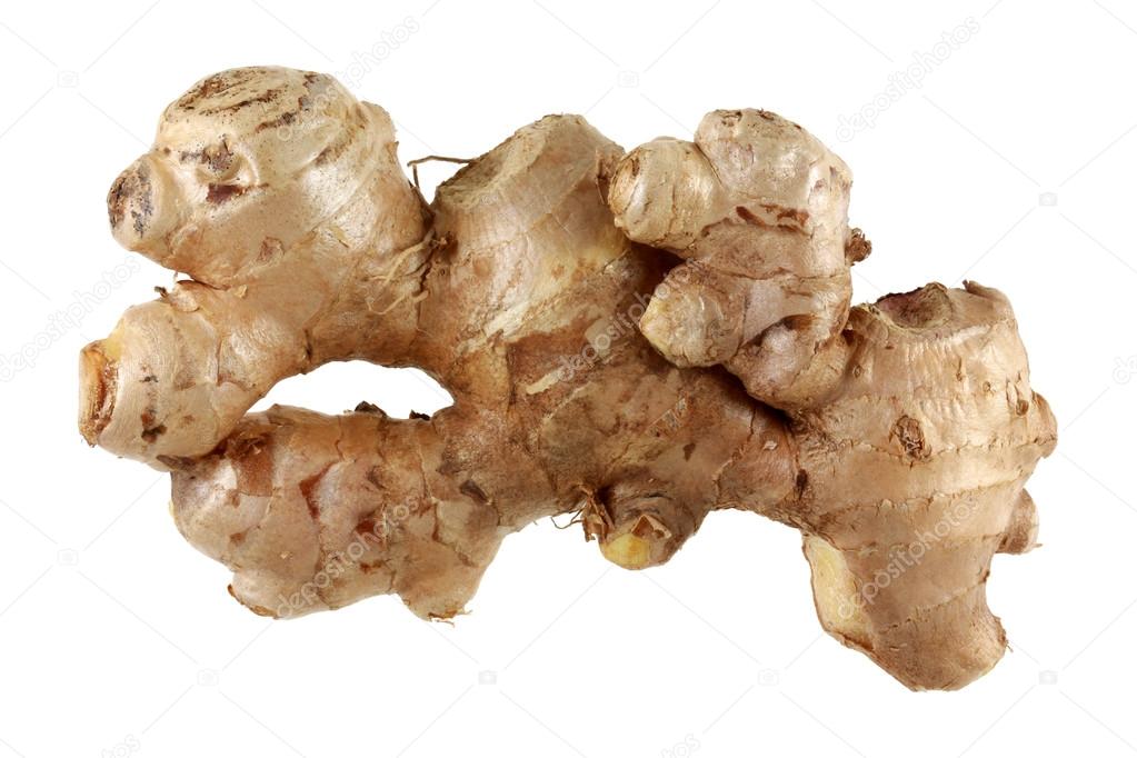 Fresh Old Ginger rhizome root ⬇ Stock Photo, Image by © sasimoto 28510657