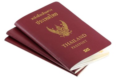 Üç Tay elektronik pasaport