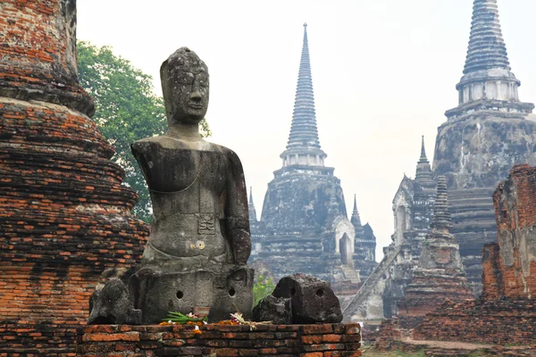 Zaslechnuté Buddhy v ayutthaya, Thajsko — Stock fotografie