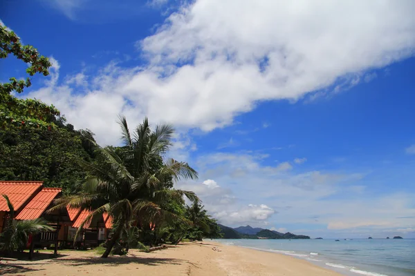 En tropisk bungalow langs stranden - Stock-foto