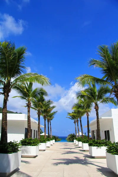 Weiße Gebäude im Tropenresort in Asien — Stockfoto