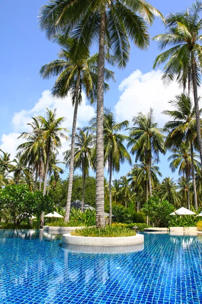 Asya'nın tropikal Yüzme Havuzu