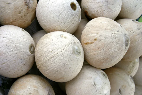 Eine Hintergrundaufnahme von geräucherter thailändischer Kokosnuss — Stockfoto
