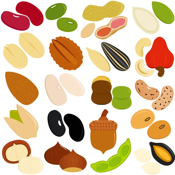 Иконы бобов, орехов, семян — стоковый вектор