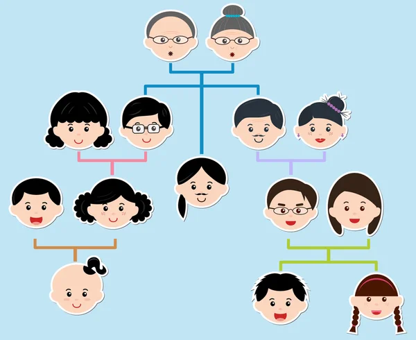 Árbol genealógico, Un diagrama en un árbol genealógico — Vector de stock