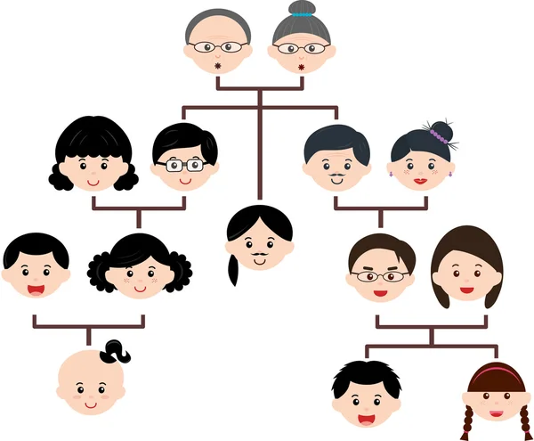 Árvore genealógica, Um diagrama em uma árvore genealógica —  Vetores de Stock