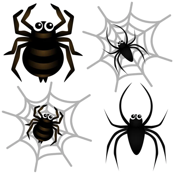 Spider & Spider Web — Stock Vector