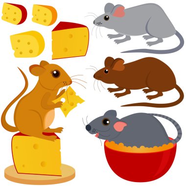 fare fare ve izole üzerine beyaz peynir