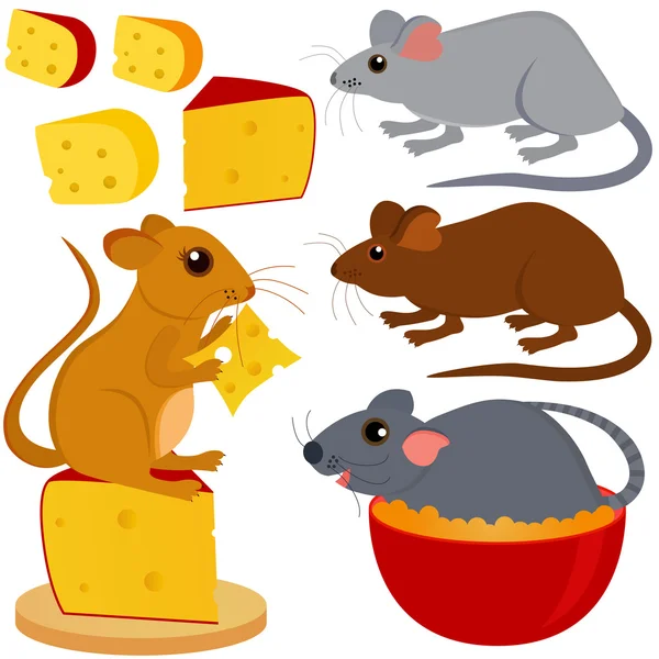 Rat Mouse and Cheese isolated on white — Stock Vector