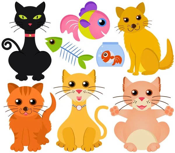 kedi ve üzerinde beyaz izole balık