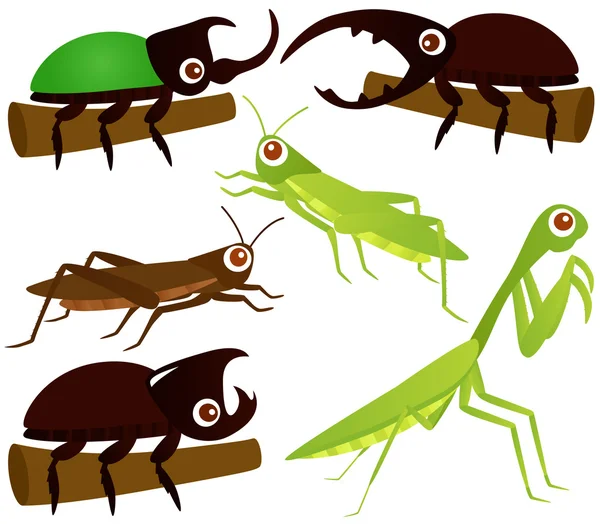 Grasshopper, Beetle, Praying Mantis — Stock Vector