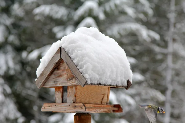 A bird with sunflower seed flying from a wooden bird feeder — Stock Photo, Image