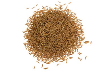 aromatik bitki kurutulmuş: Kimyon tohumu