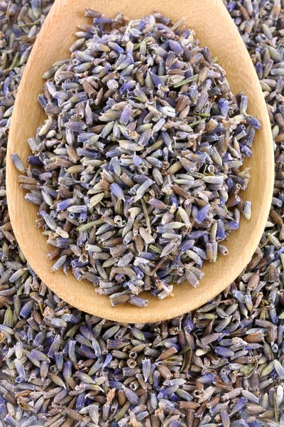 Uma colher de flores secas de lavanda — Fotografia de Stock