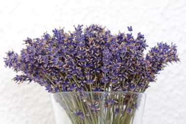 kurutulmuş lavanta çiçek vazo