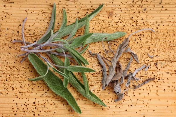 Fresh and Dried Sage leaves — Stock Photo, Image