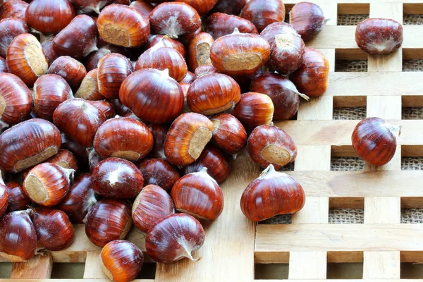 Spanish chestnuts with shells (Sweet chestnuts) — Stock Photo, Image