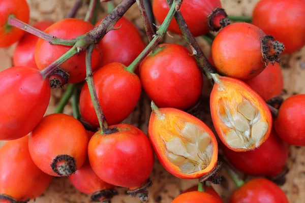 Rose hip kwiaty cięte na pół — Zdjęcie stockowe