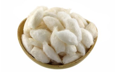 ipekböceği koza kase