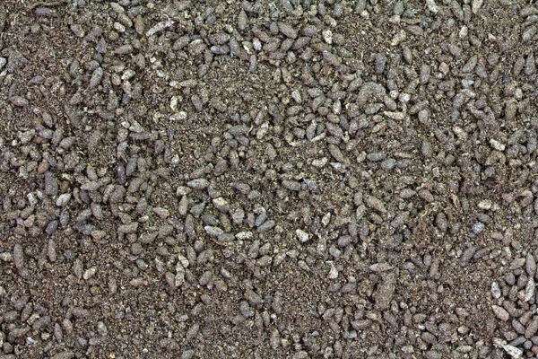 Background photo of Bat Guano Fertilizer — Stock Photo, Image