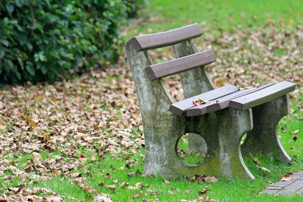 Lavička v parku během podzimní sezóny — Stock fotografie
