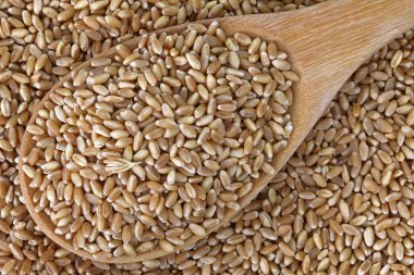 buğday taneleri - çilek