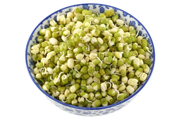 Mung Bean imbevuto (grammo verde) Germogli con pelli verdi — Foto Stock