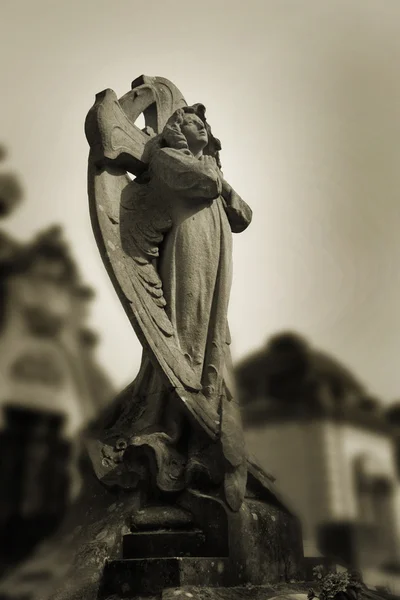 Beautiful vintage image of a praying angel — Stock Photo, Image