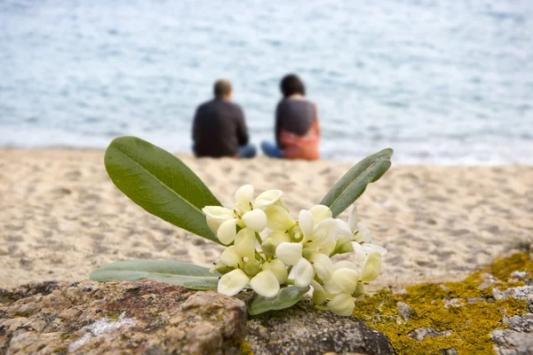Pareja romántica en la playa española — Foto de Stock