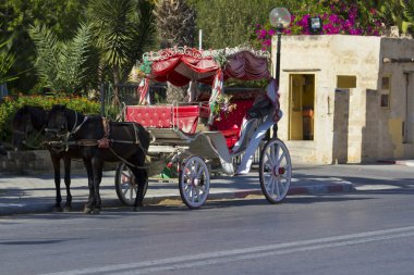 Horsedrawn carriage in Tunisia clipart