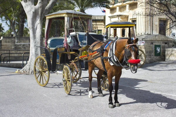 Horse-drawn carriage — Stock Photo, Image