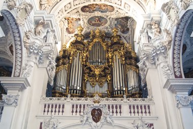 dünyanın en büyük organ