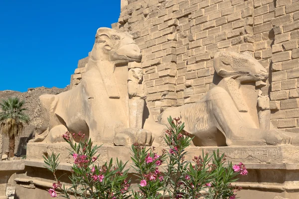 Karnak tempel — Stockfoto
