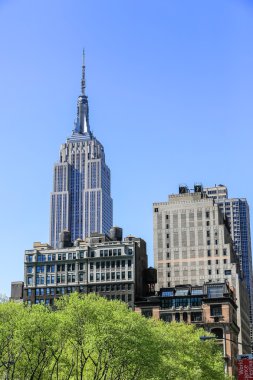 YENİ YORK