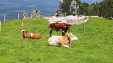 Ramsau