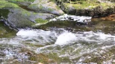 Wildbach