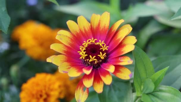 Fleur