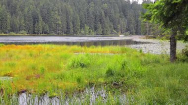 Arbersee