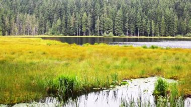 Arbersee
